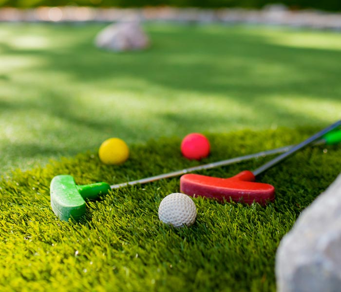 Mini Golf Clubs and Balls